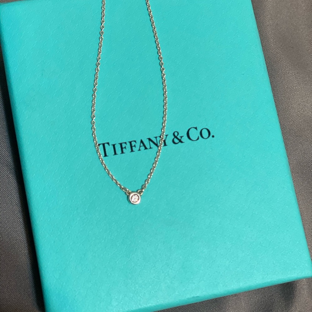 Tiffany and co Diamonds by the yard necklace